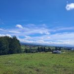 22cd48e4-82f0-4d07-9717-e2449e6fbde6