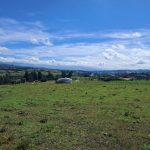 25b511e9-bf66-4d3b-a2b0-d2a86804349d