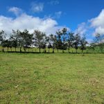 5921c856-0860-4ae7-b86f-a033663db55d