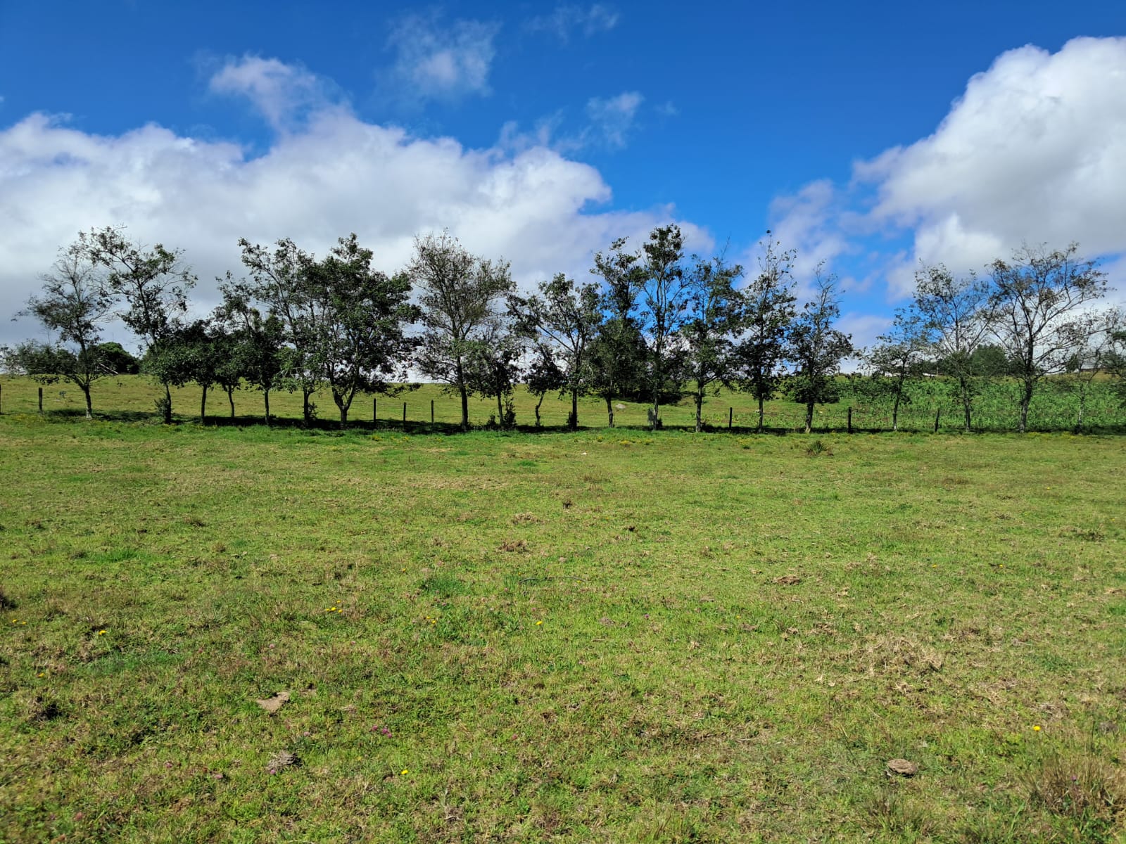 5921c856-0860-4ae7-b86f-a033663db55d