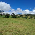 5d80d955-8359-4b9c-a334-43b12c5e56fc