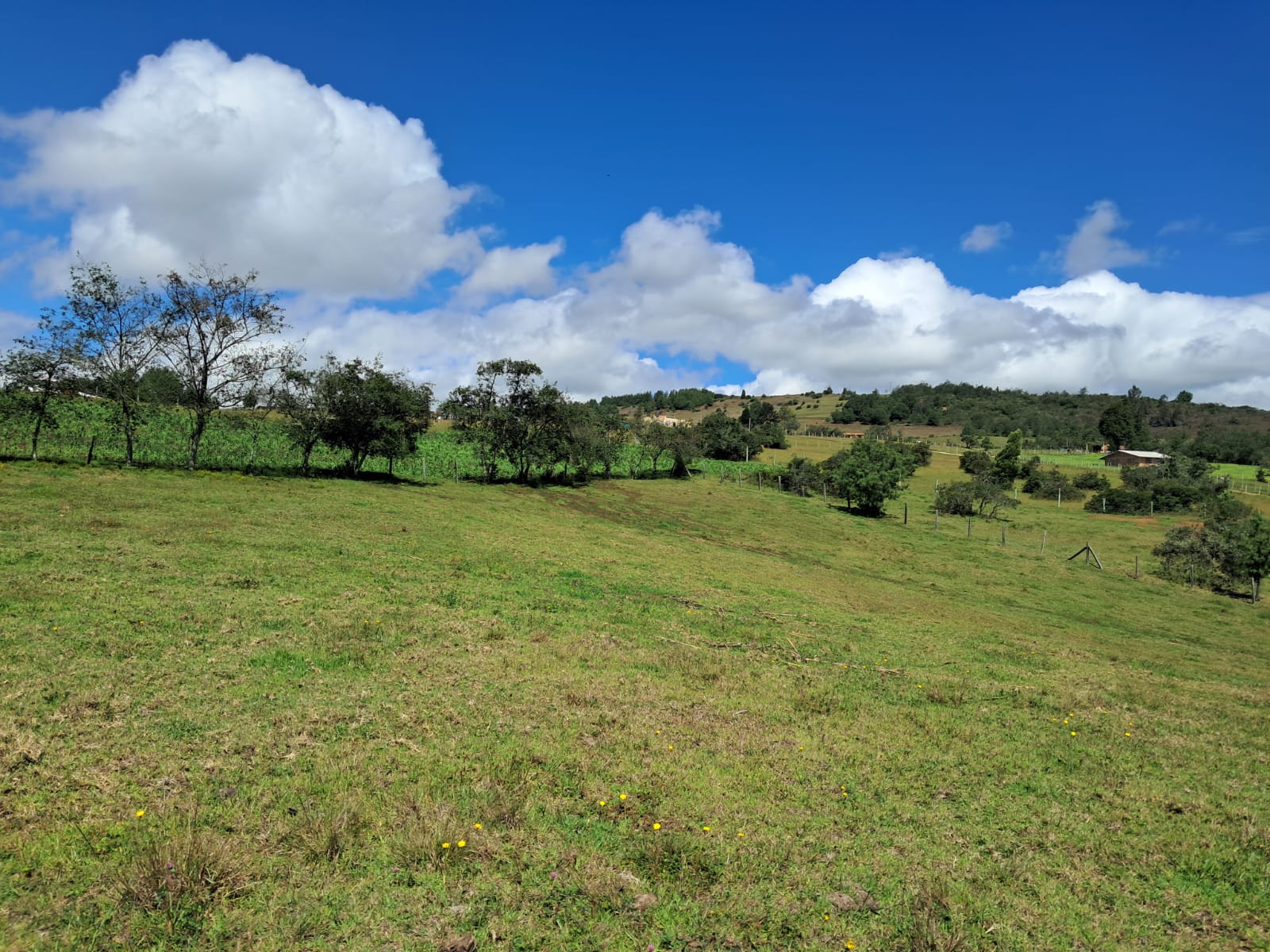 5d80d955-8359-4b9c-a334-43b12c5e56fc