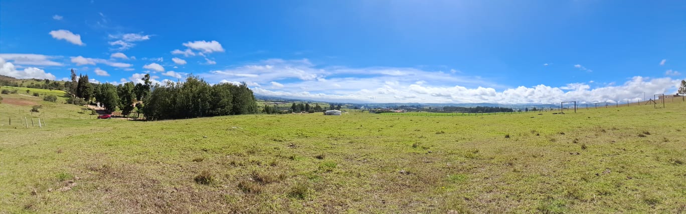 6f3f9243-79c1-4d49-aac3-3115bcd3d456