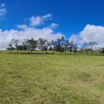 d7208d99-5f18-47e3-8d10-e75af1e76cfb