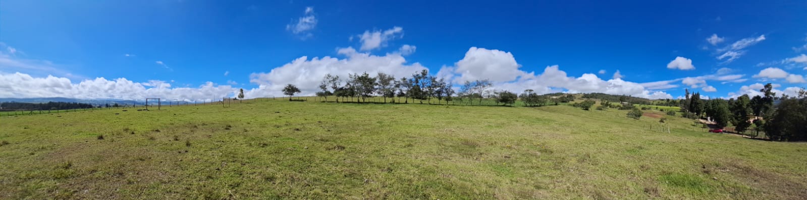 d7208d99-5f18-47e3-8d10-e75af1e76cfb