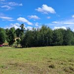 fd75a298-442e-4531-8273-c1e81c7e6e8a