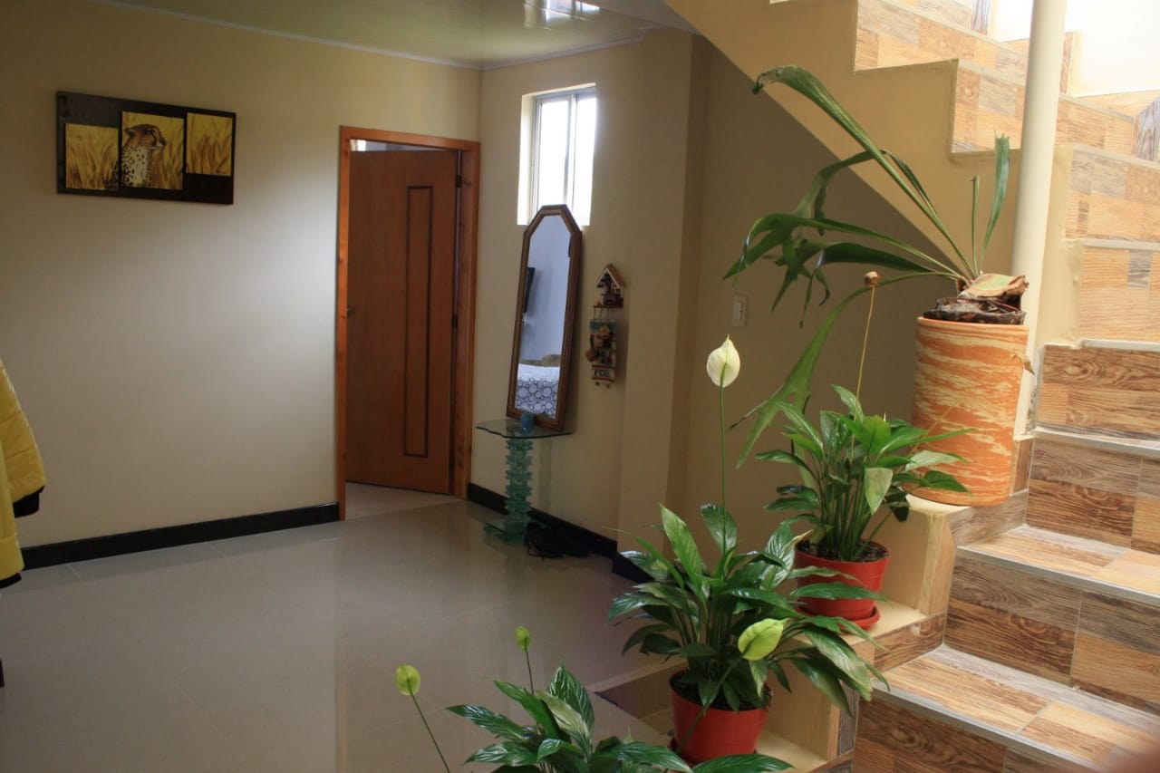 01e83ec5-496d-4f04-aa8c-dcaeebc886f9