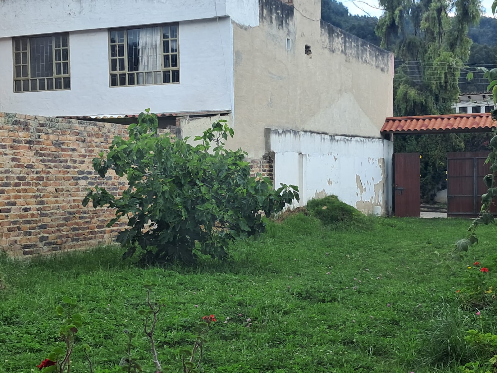 04746c2b-7671-4cd6-be79-6249262fec99