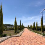 1487be73-6028-4462-bed8-13f1f341bc9b