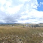 1a2ceb27-d7e2-4ab7-ab80-5dfe82c0e7ce