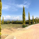 276d4540-7435-452c-b42c-24df528044db