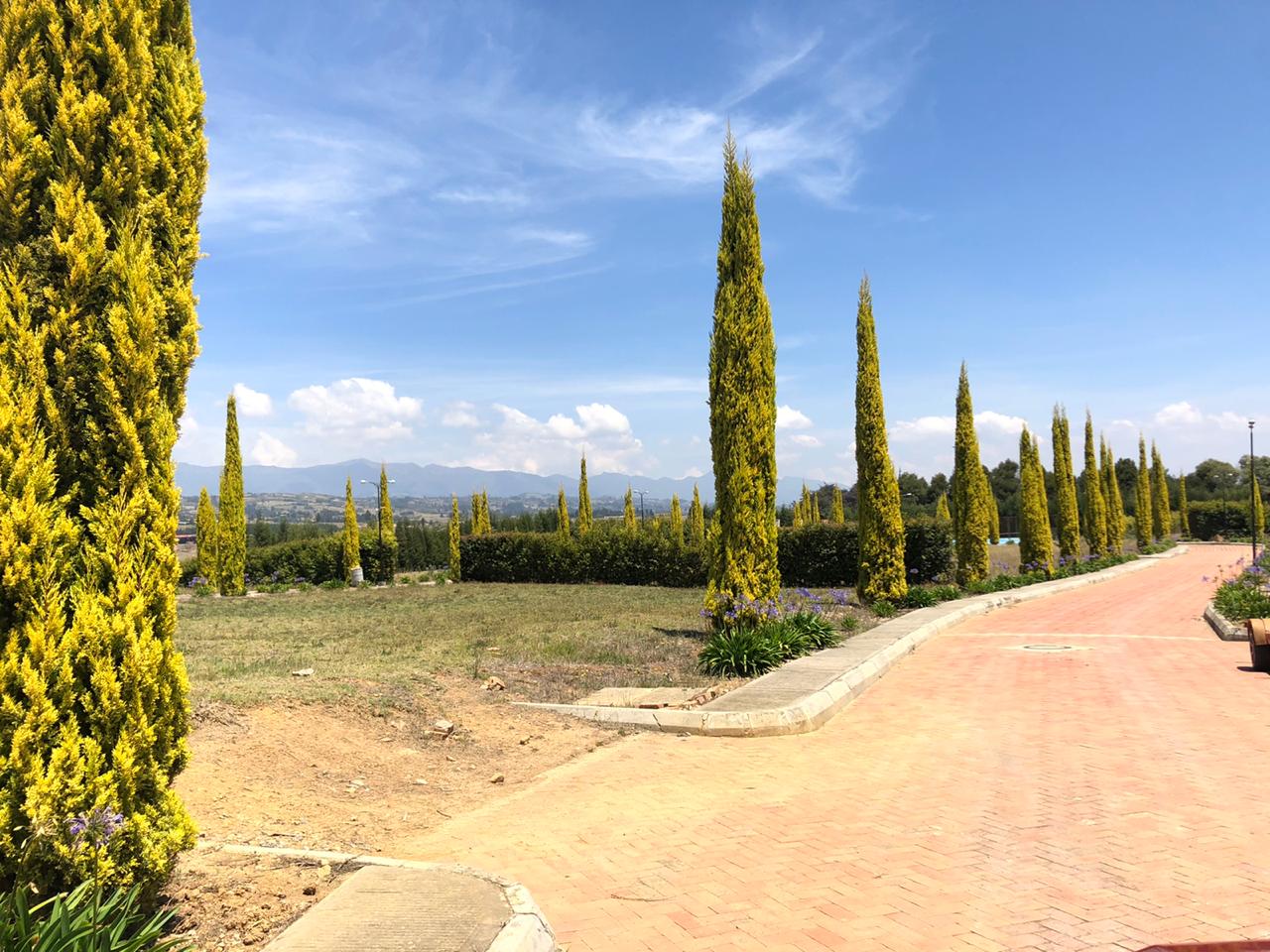 276d4540-7435-452c-b42c-24df528044db