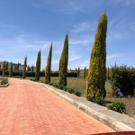 36c96683-5364-4411-b5b5-2a47881e9e43