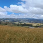 371e94c7-7b0f-4a6e-b595-a88c2ba27fc0