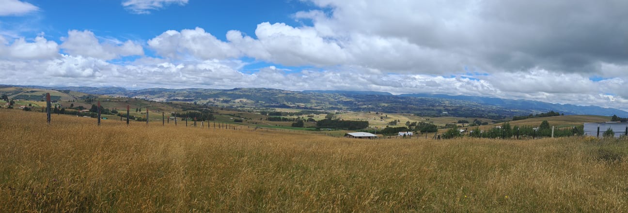 371e94c7-7b0f-4a6e-b595-a88c2ba27fc0