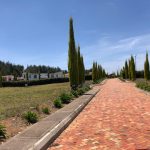 3ed44359-a2fc-4546-b072-9d52f43afe99