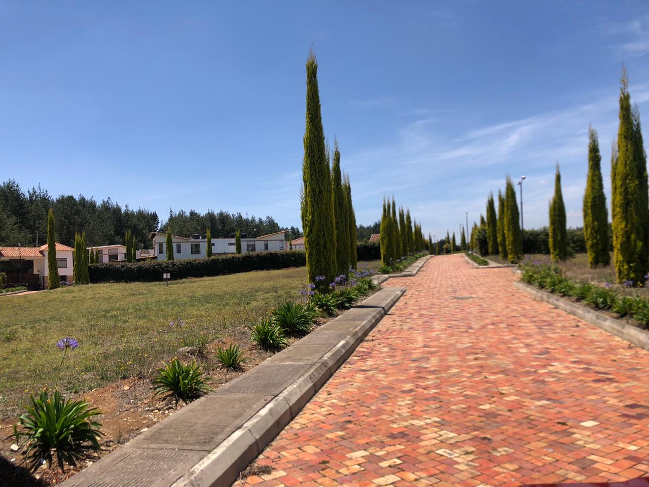 3ed44359-a2fc-4546-b072-9d52f43afe99