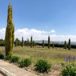 4463e9c6-82ee-4e49-9a8d-15da2cfa8861