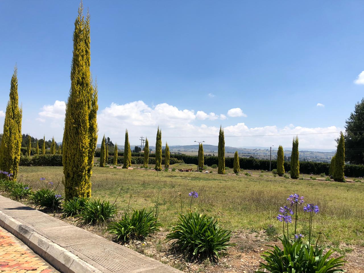 4463e9c6-82ee-4e49-9a8d-15da2cfa8861