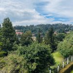 4819e017-3062-4dda-9c56-daa858de622e