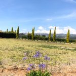 4de17929-ef4a-4e3a-a7fa-55a8eb44be32