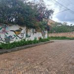 5aece0f0-84d0-4e31-a738-47c2c9d3ae7e