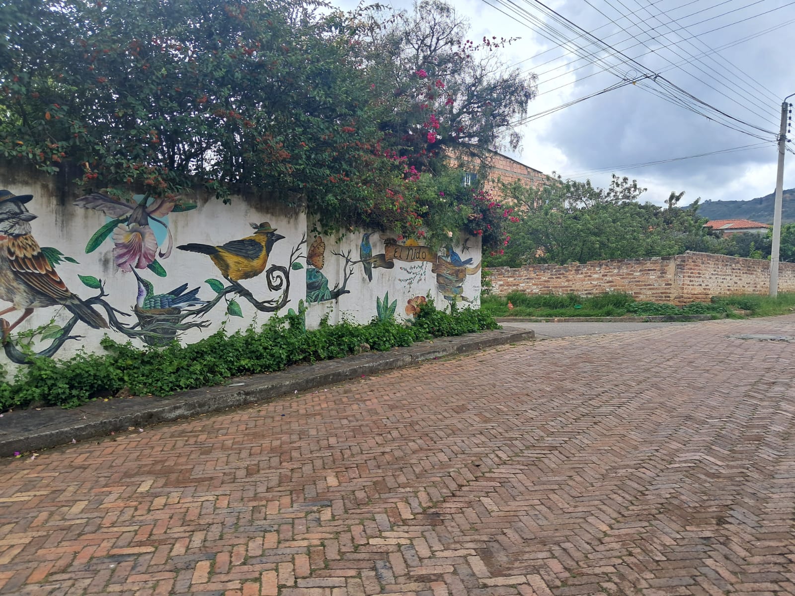 5aece0f0-84d0-4e31-a738-47c2c9d3ae7e