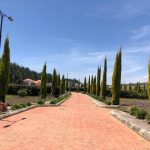 6ba60048-518f-4d23-9d17-19091035f244