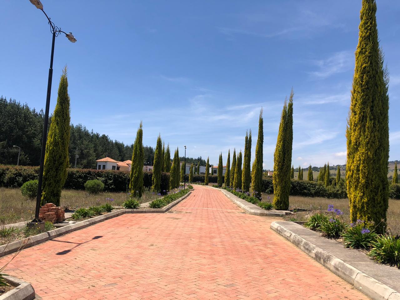 6ba60048-518f-4d23-9d17-19091035f244