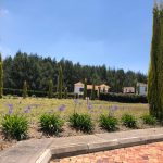 71b47e69-8457-428a-8569-f8d5eaa370d4