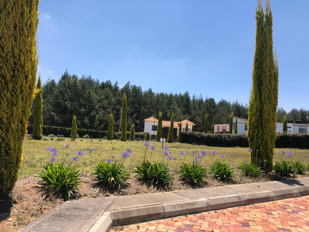 71b47e69-8457-428a-8569-f8d5eaa370d4