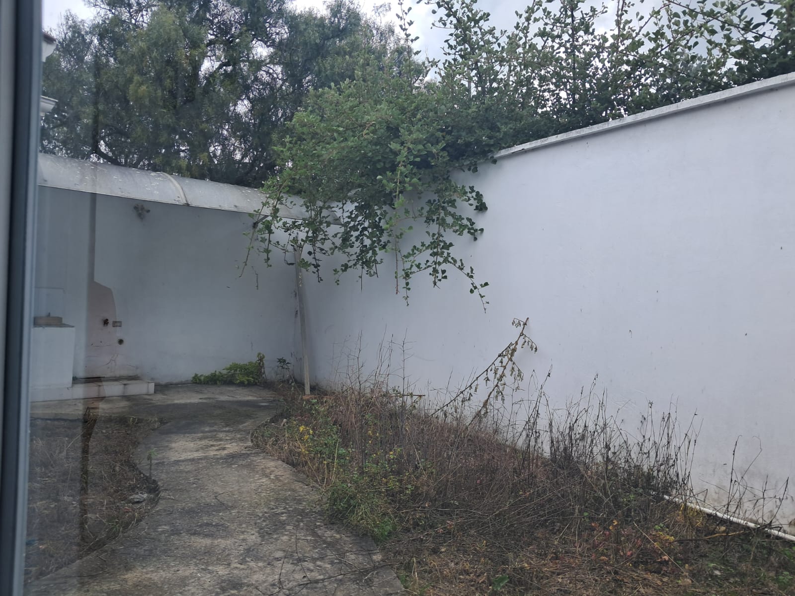 72db6851-a271-4307-92ab-dfc2d062a79b