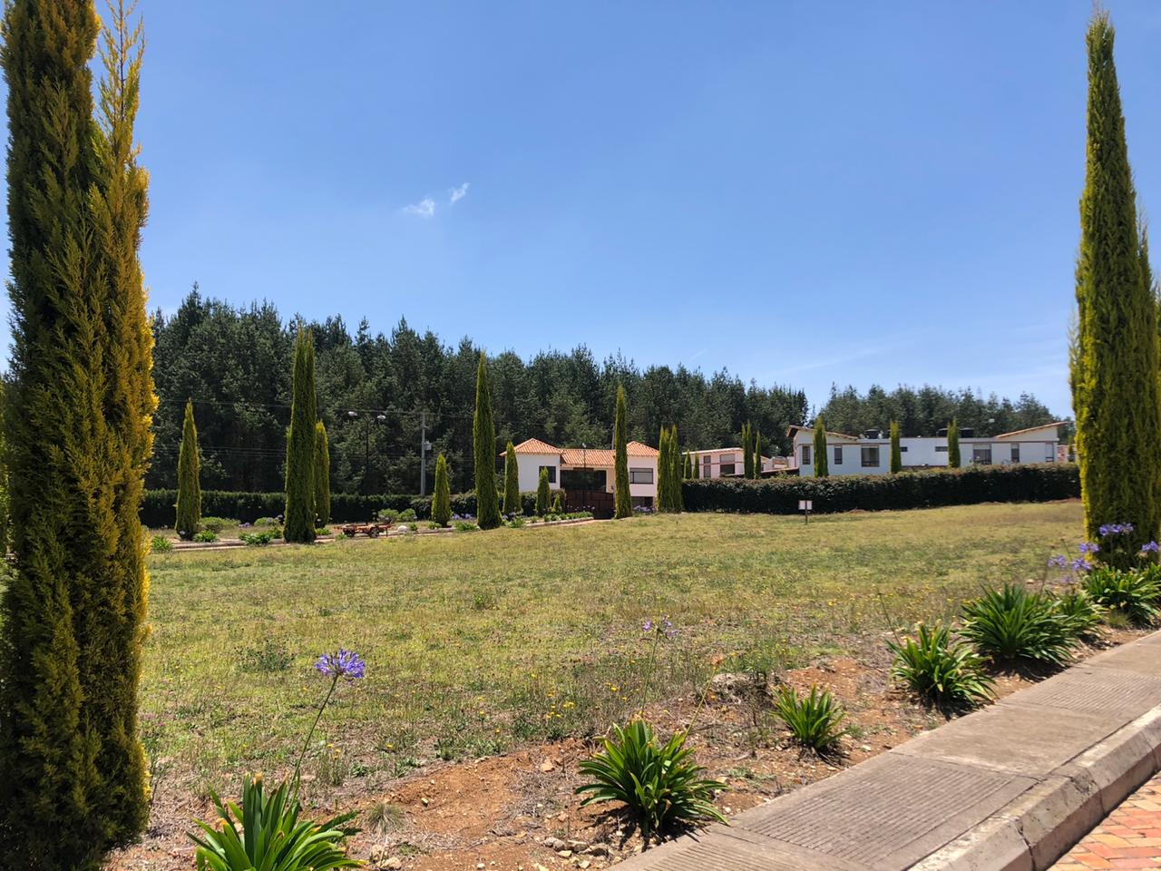 8dedf9eb-d2f0-4091-b16f-d31319b3a7ef