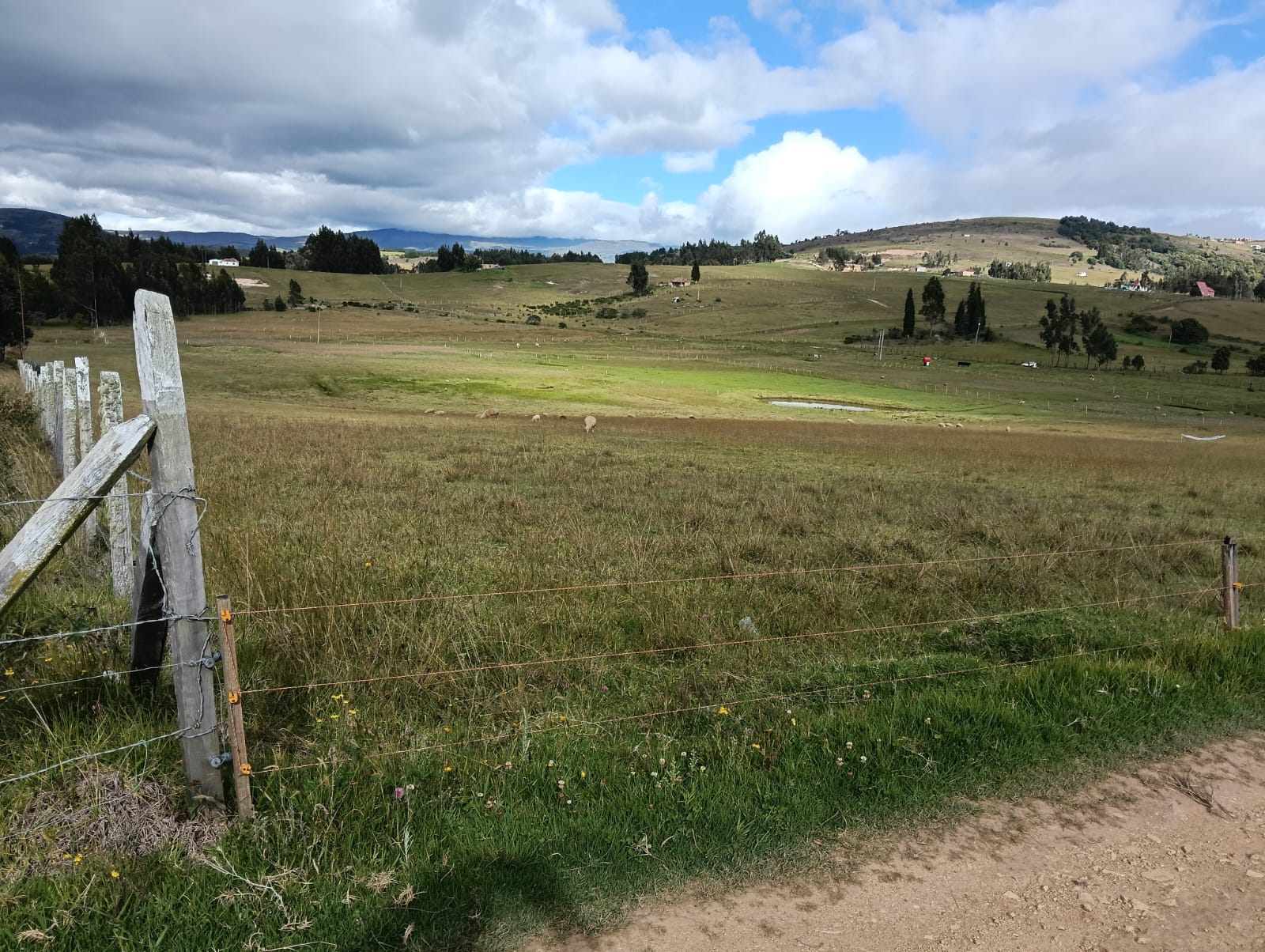 9dbf1fab-7e2c-4d28-a8a0-c50fc55876e3