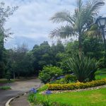 Imagen de WhatsApp 2025-10-14 a las 14.35.28_a941140f