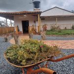 b1915203-970f-4808-bdbf-a81986f21e89