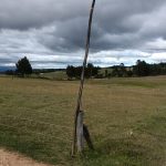 bf06d9ab-6977-4a37-ad55-0334e723c284