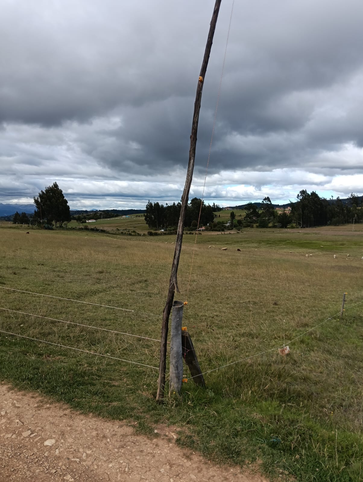 bf06d9ab-6977-4a37-ad55-0334e723c284