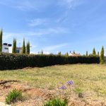 cb25c98d-5ccb-46e7-9f4d-b2ff9a2d604b