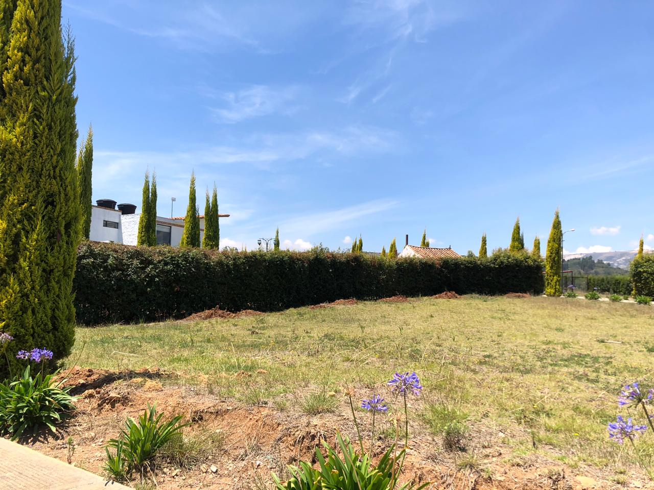 cb25c98d-5ccb-46e7-9f4d-b2ff9a2d604b