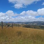 cb605613-8874-46e9-b516-7ab987e63523