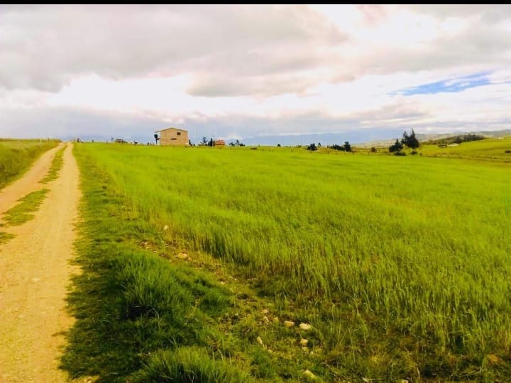 Finca en venta, Oicatá; vereda Centro.