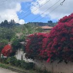 d43f7834-ac31-4d26-a36b-3ba673d19595