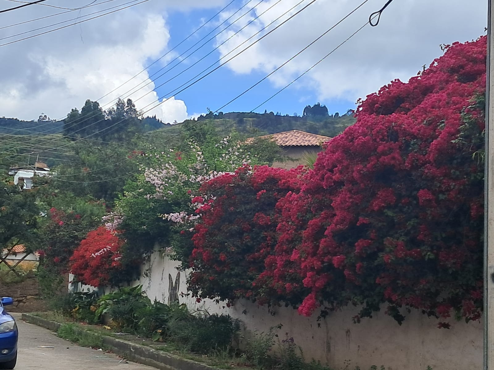 d43f7834-ac31-4d26-a36b-3ba673d19595