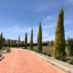 d55b336c-8d66-4611-97ea-8ad17cd452d6