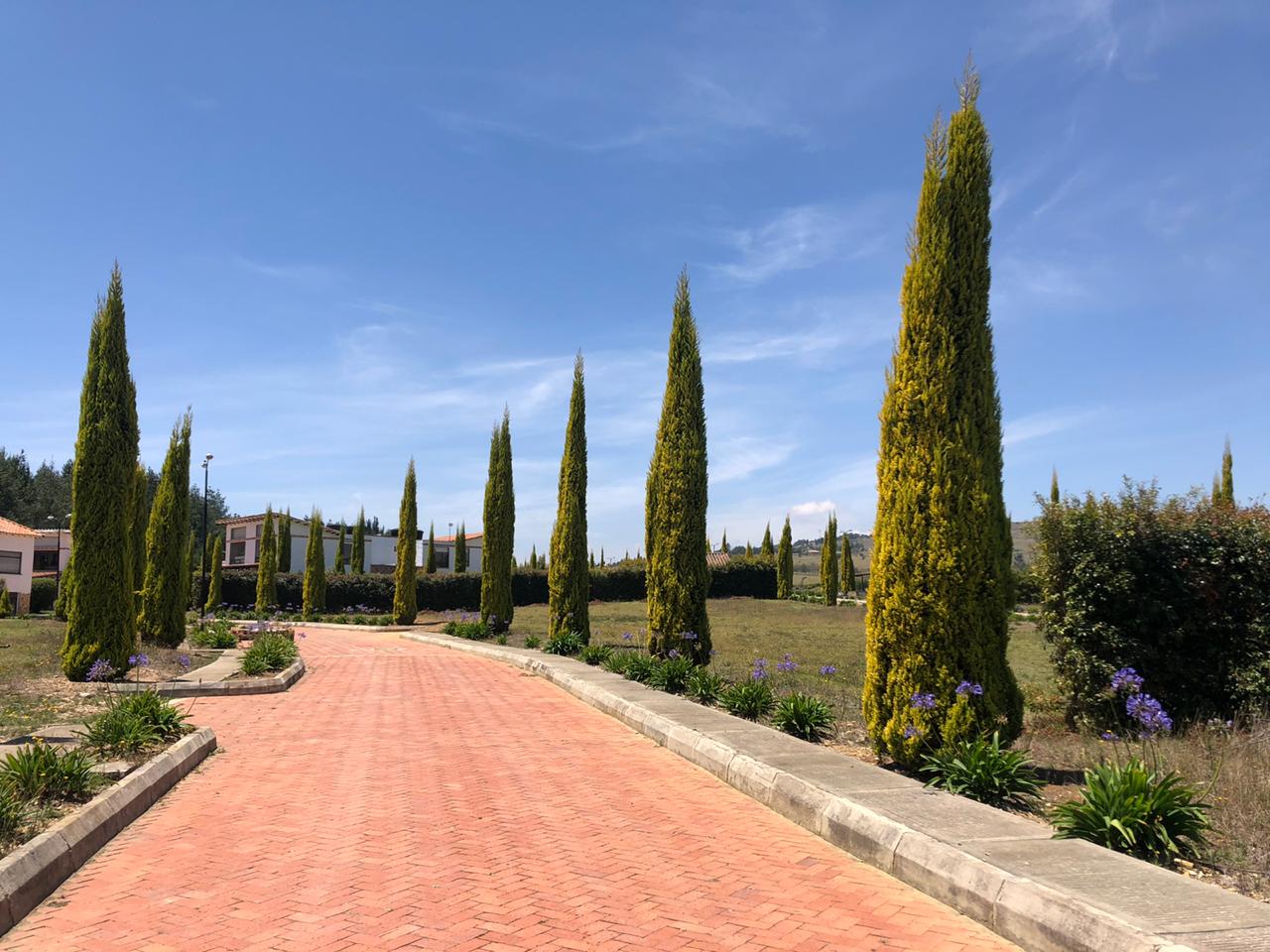 d55b336c-8d66-4611-97ea-8ad17cd452d6