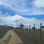 e4ea84b2-fab8-4cbb-8a68-24c9cf918b17