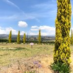 e5c97e05-41a5-4571-8d77-c5330f2f957b