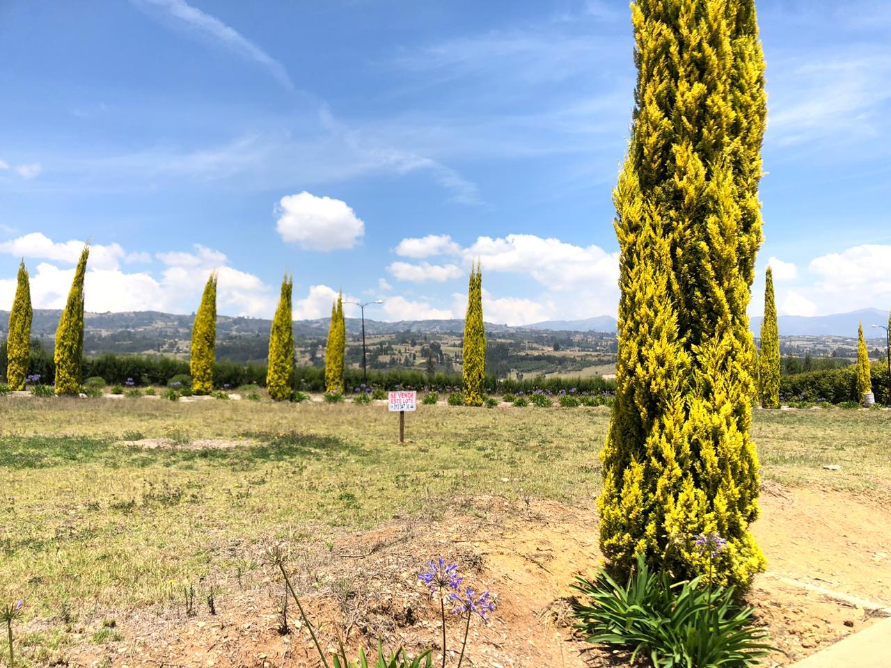 e5c97e05-41a5-4571-8d77-c5330f2f957b