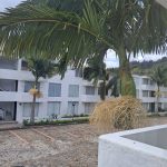 8a4d7fda-f591-4d77-8e0c-4369cd5223c2